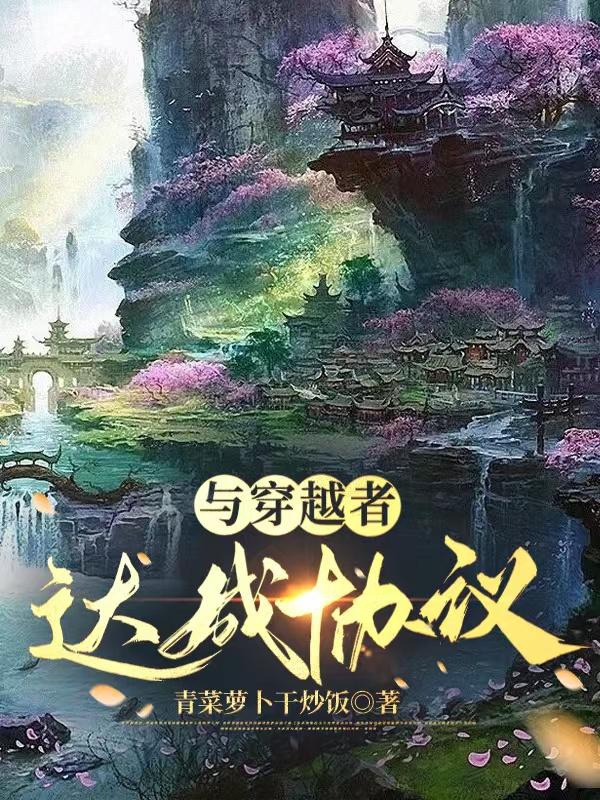 穿越者碰到穿越者的小说