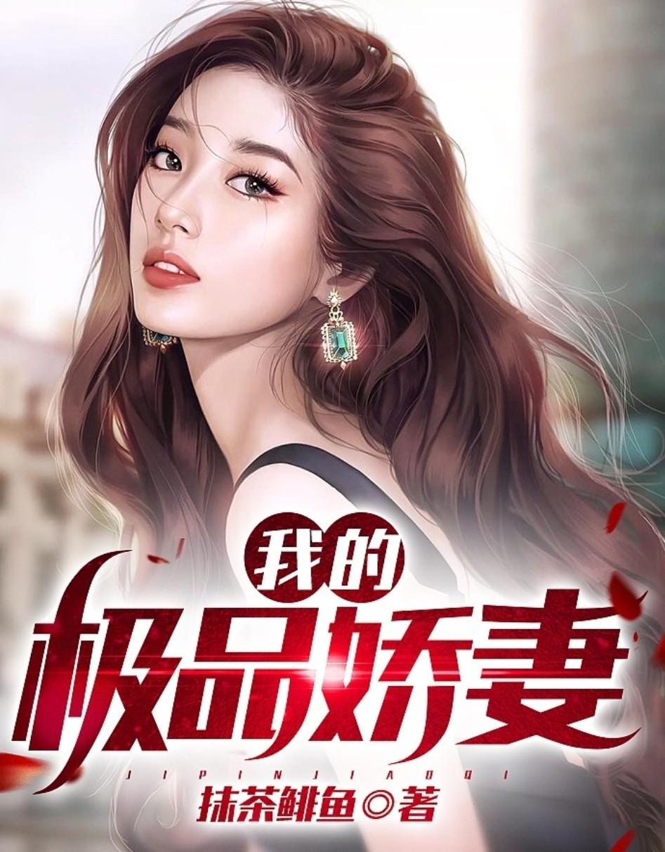 电视剧我的极品老婆