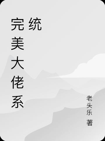 完美大佬系统