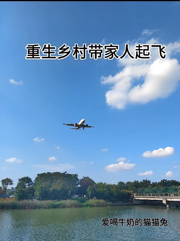 重生带领乡村发展的小说