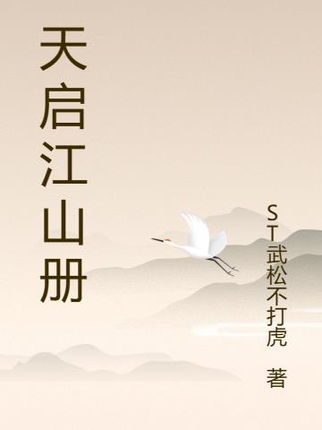 天启一套多少钱