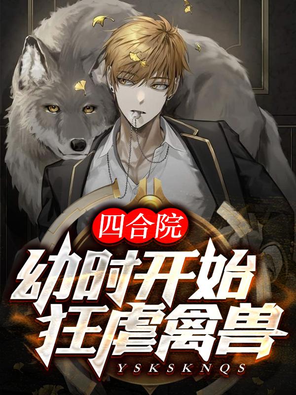 四合院小说系列