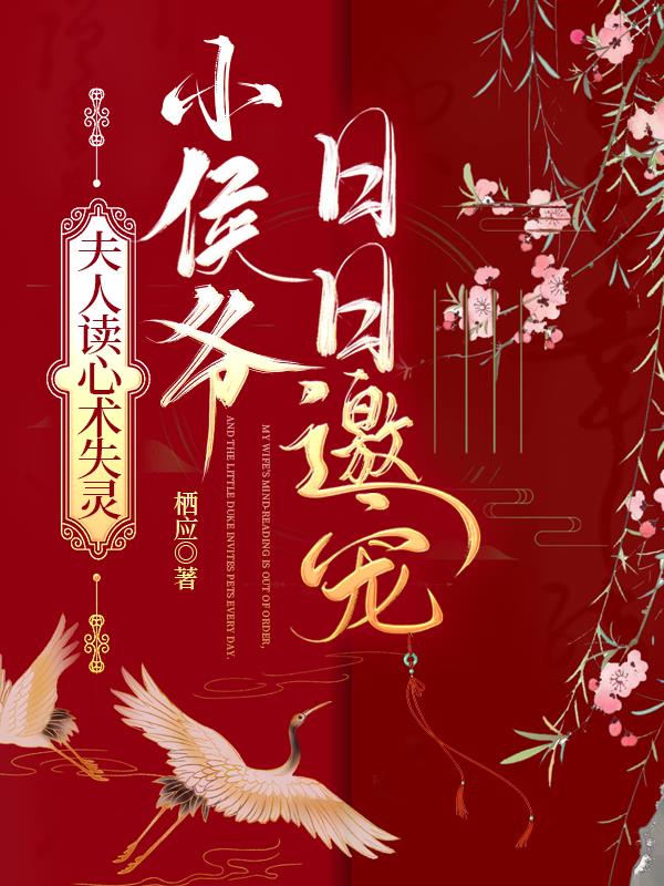 夫人小说