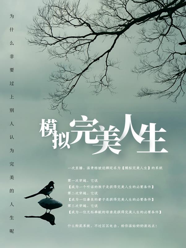 完美人生小说全文免费阅读
