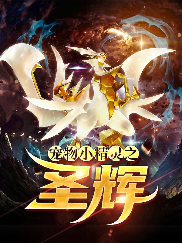 宠物小精灵圣灰汉化版攻略