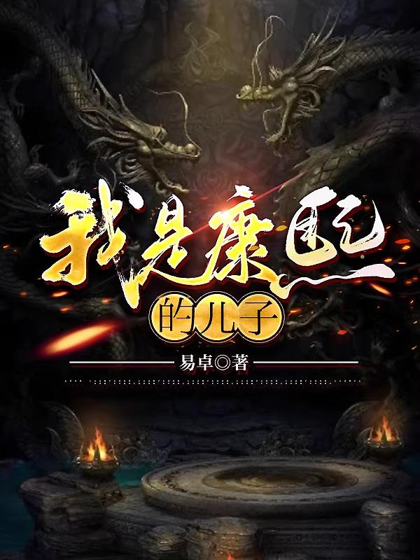 我是康熙儿子的小说